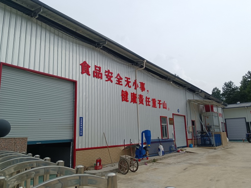 农家纯手工红薯粉条