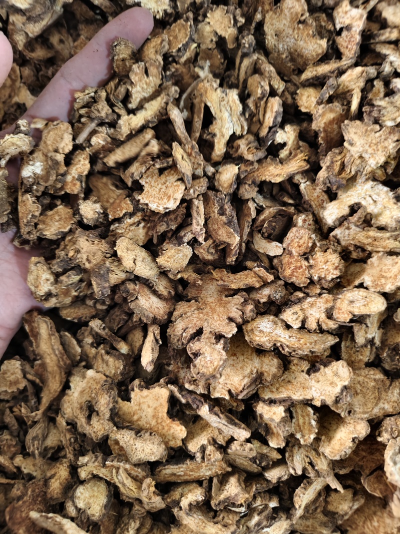 苍术内蒙朱砂点苍术规格齐全批发零售量大从优