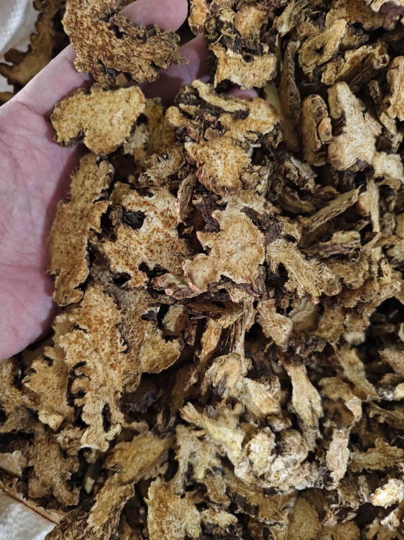 苍术内蒙朱砂点苍术规格齐全批发零售量大从优