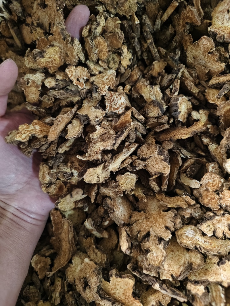 苍术内蒙朱砂点苍术规格齐全批发零售量大从优