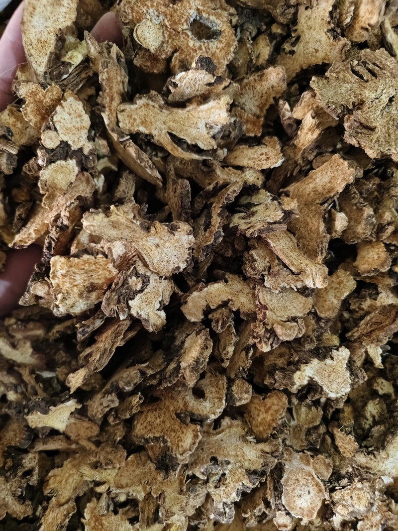 苍术内蒙朱砂点苍术规格齐全批发零售量大从优