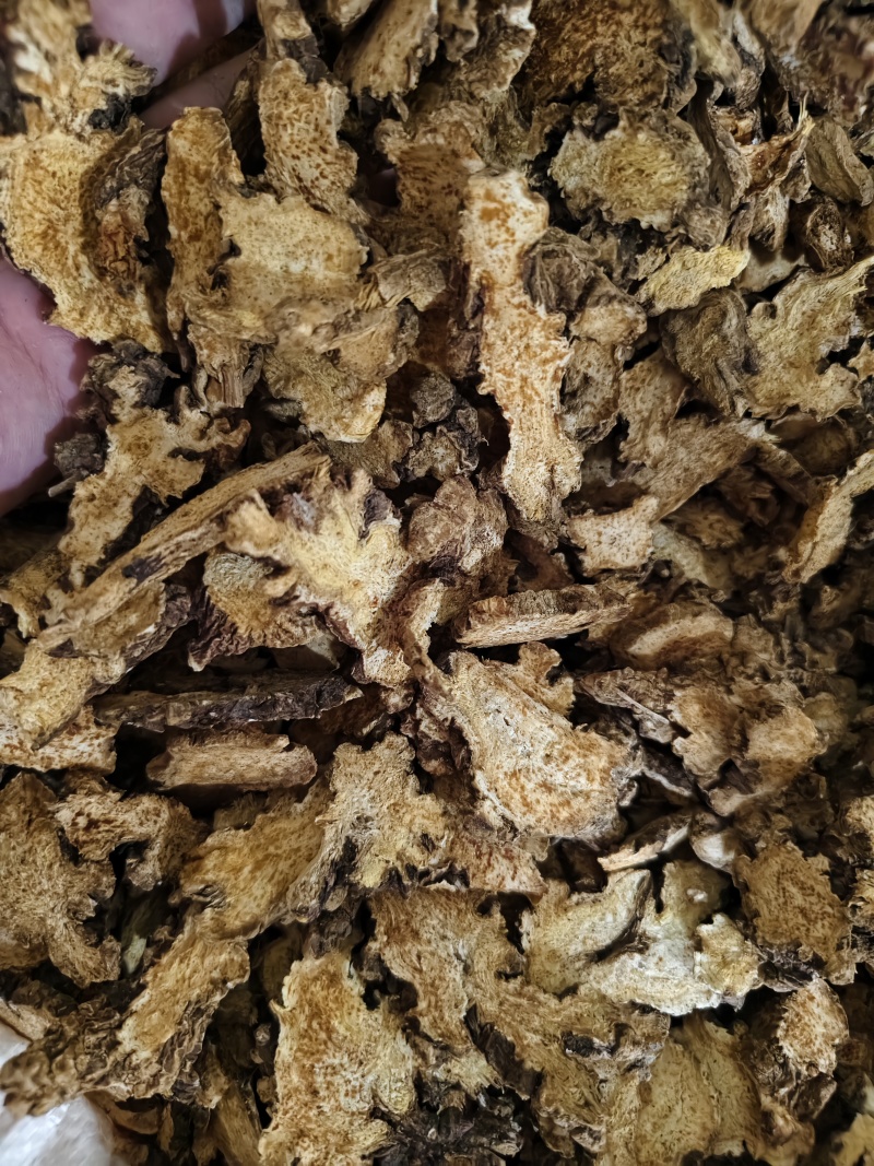 苍术内蒙朱砂点苍术规格齐全批发零售量大从优
