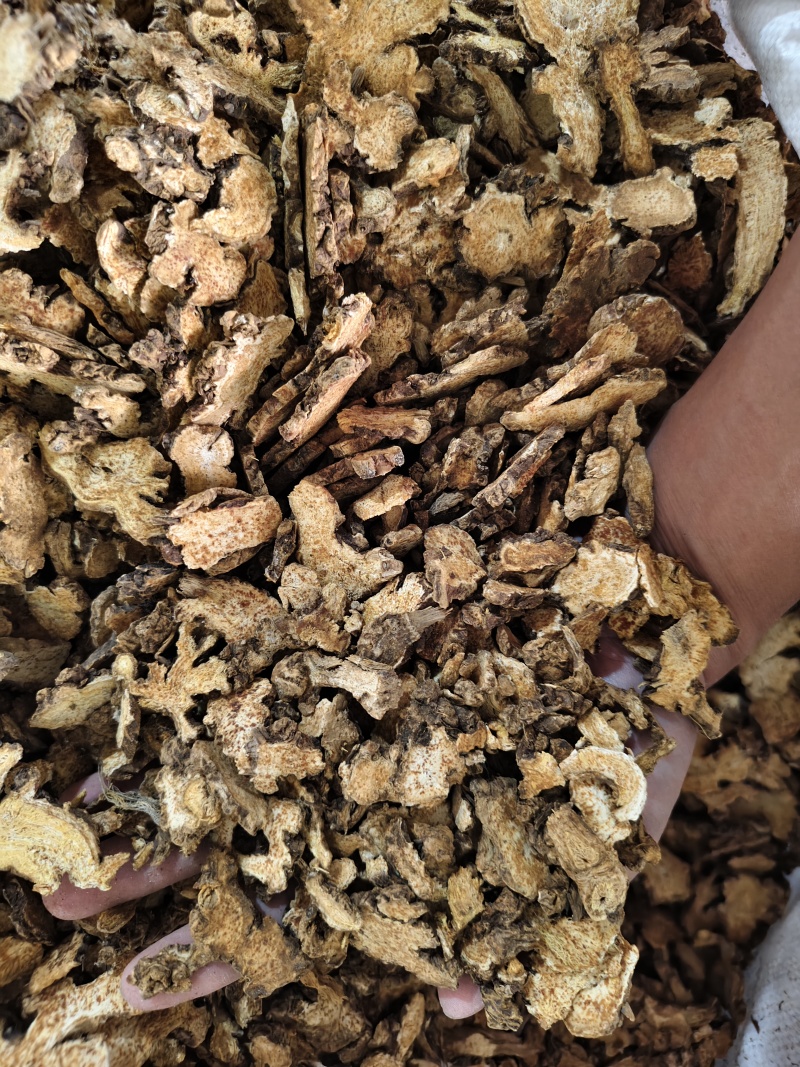 苍术内蒙朱砂点苍术规格齐全批发零售量大从优