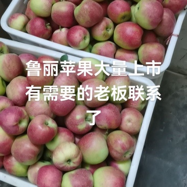 鲁丽苹果