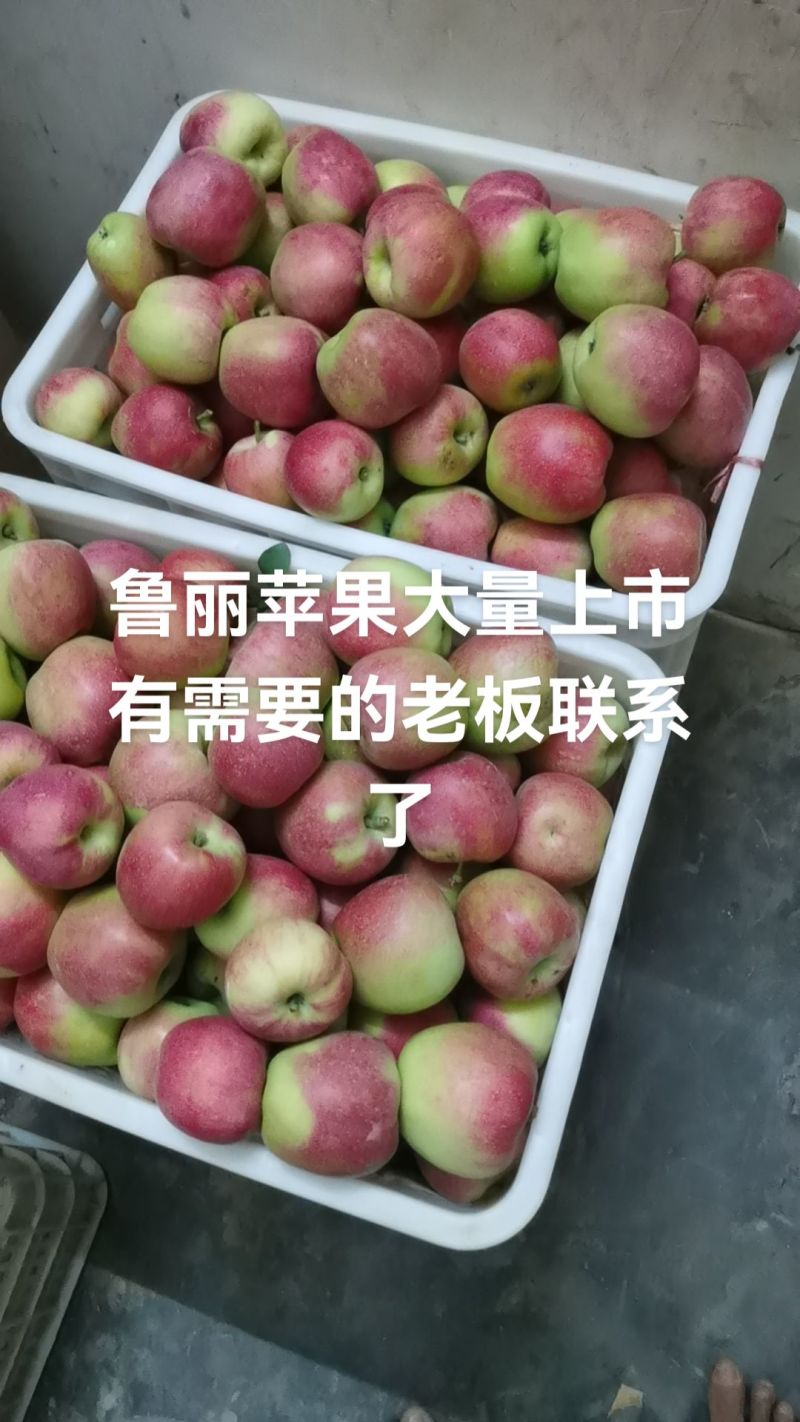 鲁丽苹果