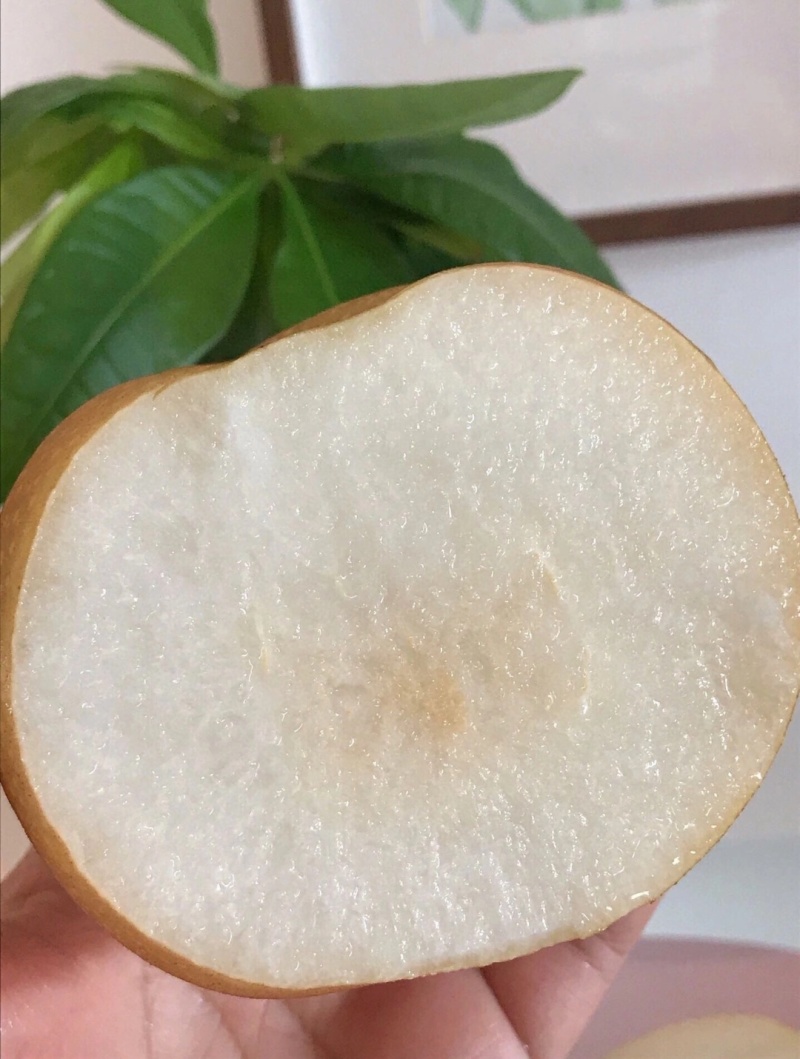 青岛平度秋月梨口感纯正懂货的老板来