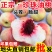真宗陕西珍珠枣油桃货源充足支持社区团购电商一件代发