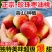 真宗陕西珍珠枣油桃货源充足支持社区团购电商一件代发
