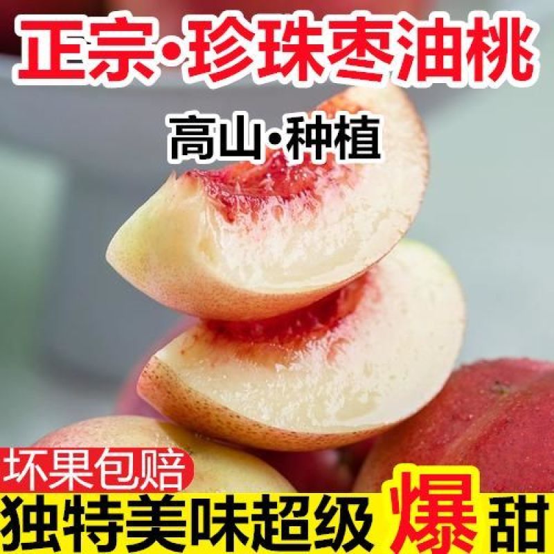 真宗陕西珍珠枣油桃货源充足支持社区团购电商一件代发