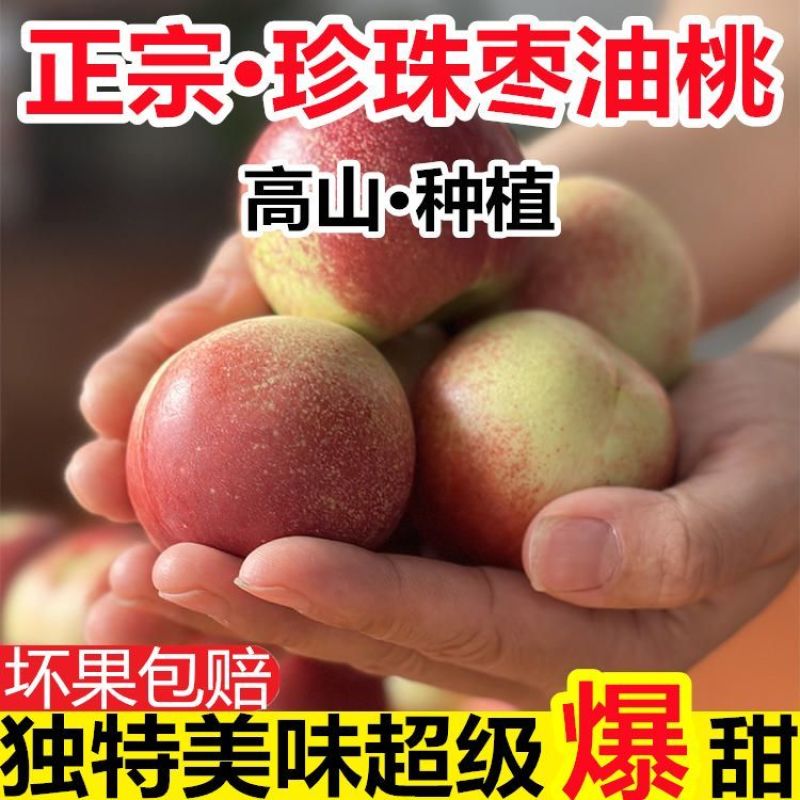 真宗陕西珍珠枣油桃货源充足支持社区团购电商一件代发