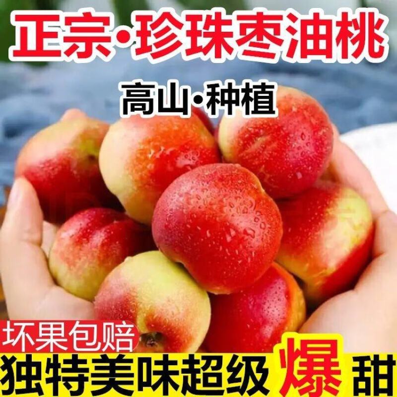 珍珠枣油桃大量现货供应电商一件代发抖音快手多多