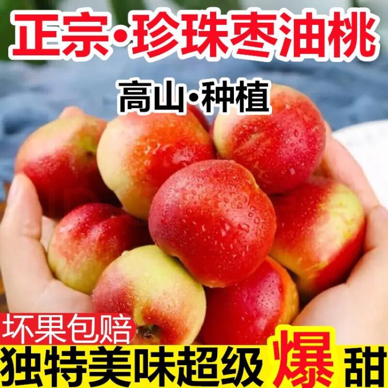 珍珠枣油桃大量现货供应电商一件代发抖音快手多多