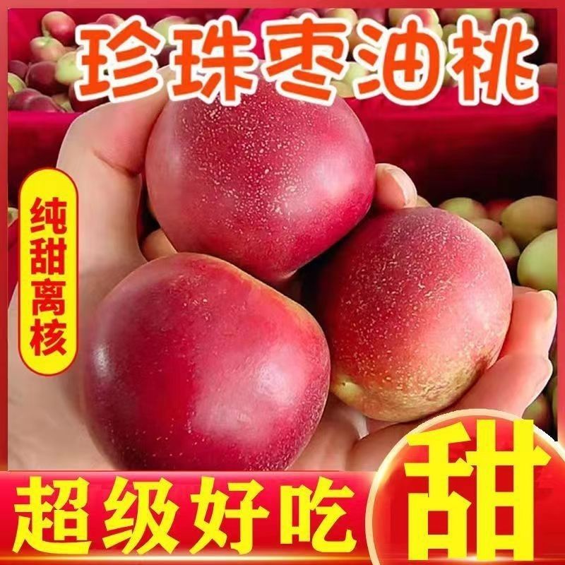 珍珠枣油桃大量现货供应电商一件代发抖音快手多多