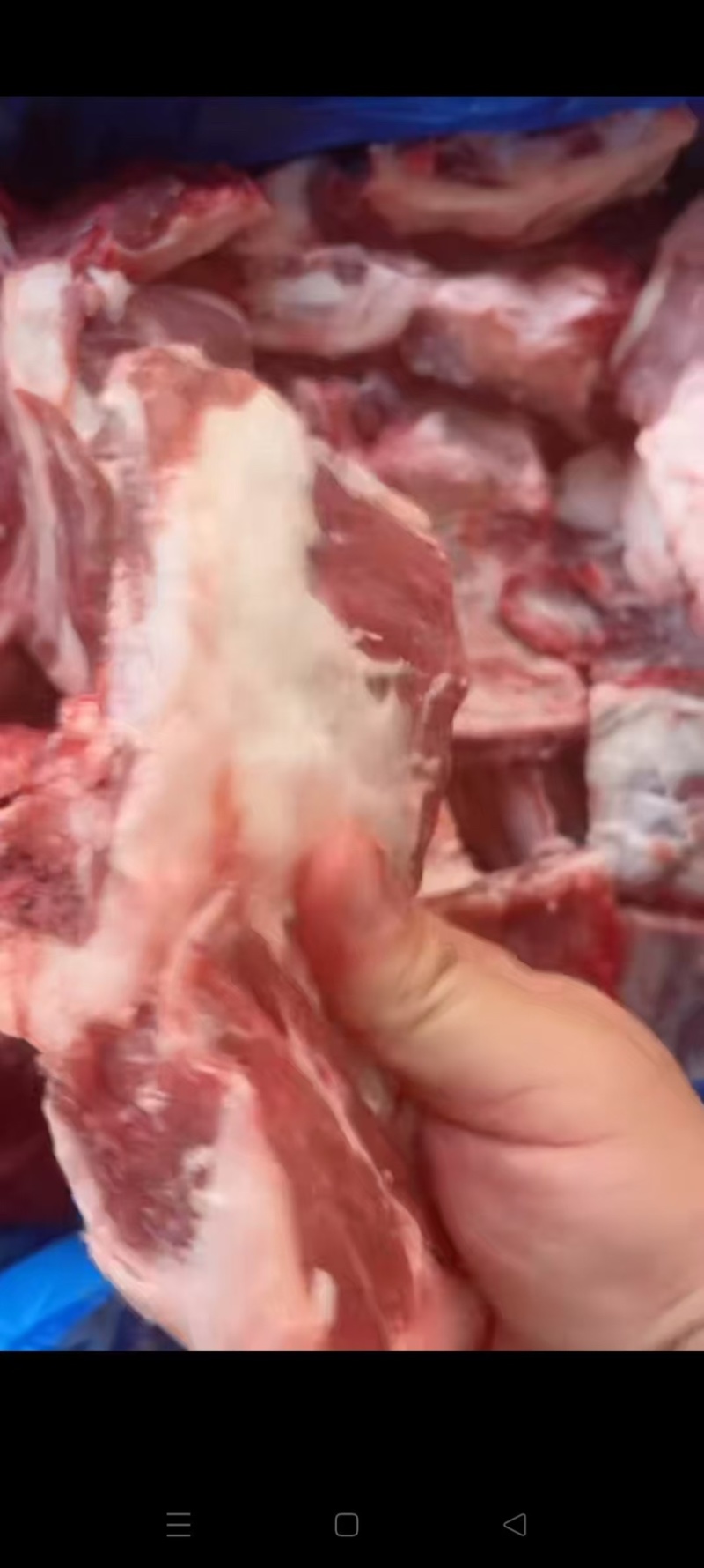 羊排切块，满肉，一手货源，价格合理，欢迎来话