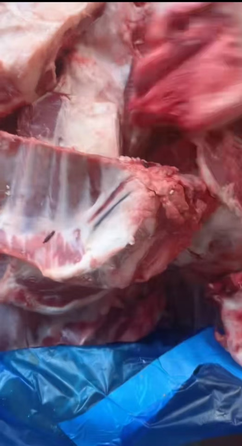 羊排切块，满肉，一手货源，价格合理，欢迎来话