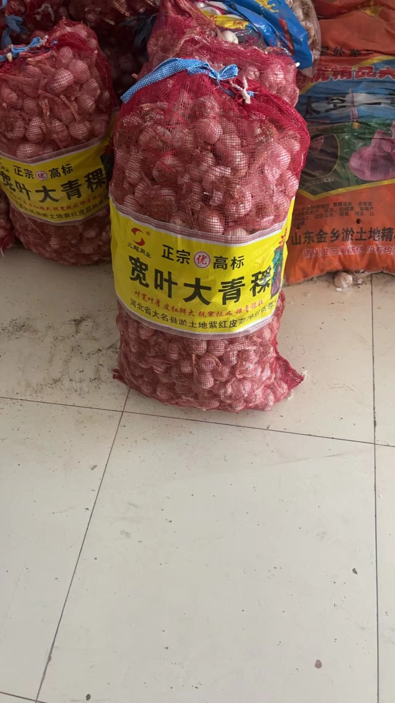 蒜种品种齐全