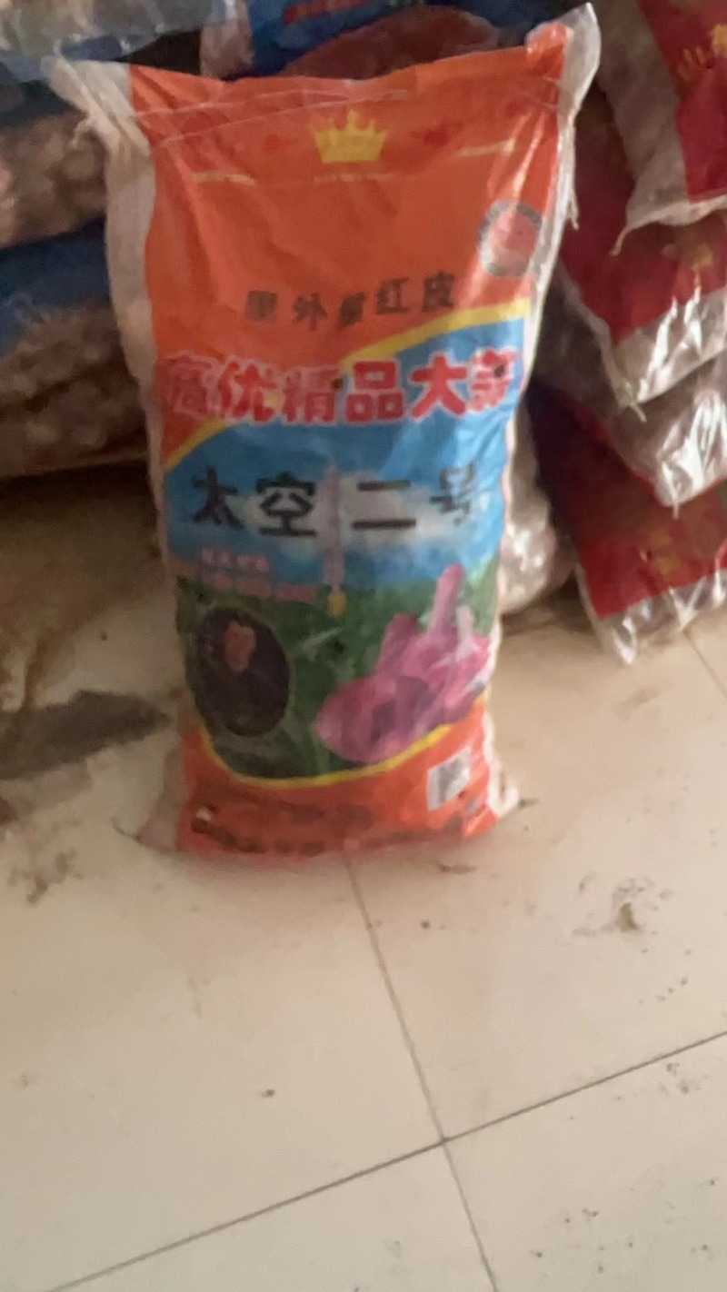 蒜种品种齐全