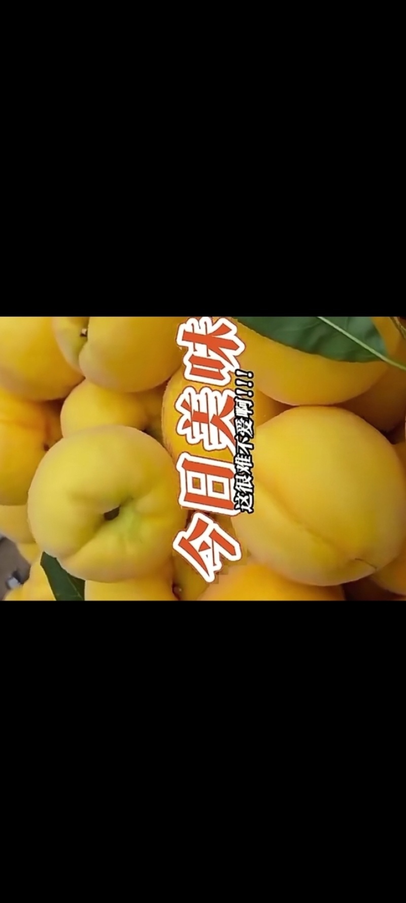 瑶山红心黄桃
