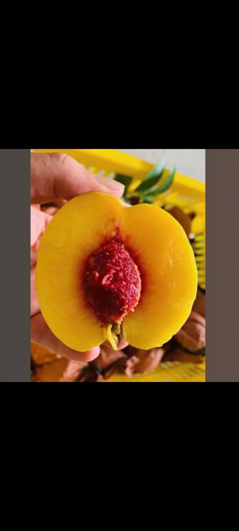 瑶山红心黄桃
