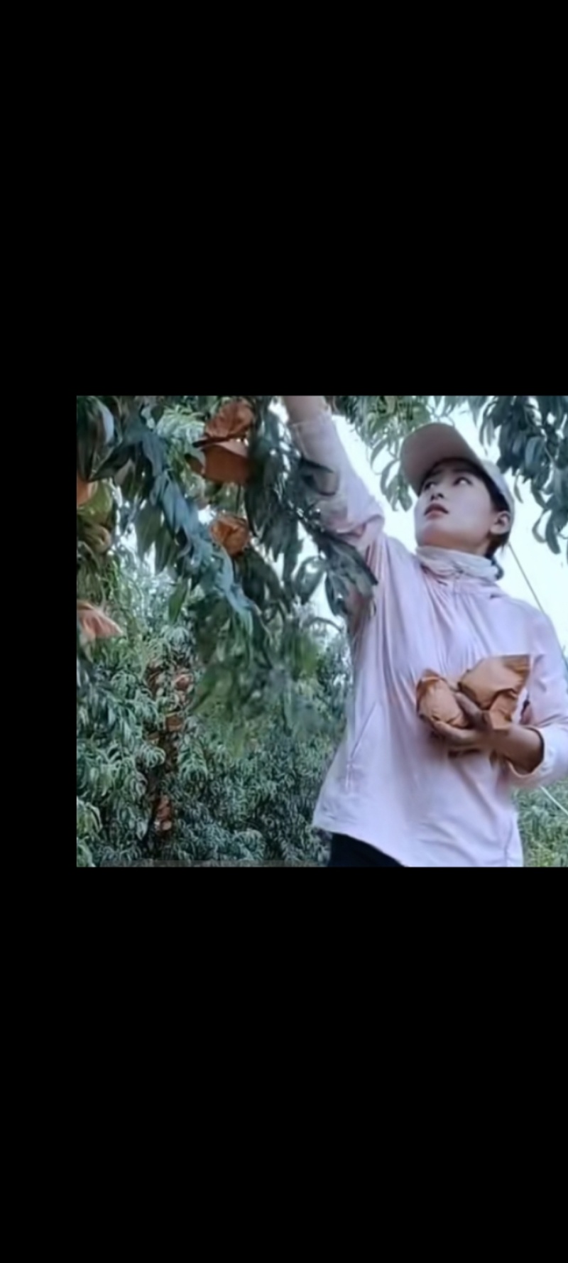 瑶山红心黄桃