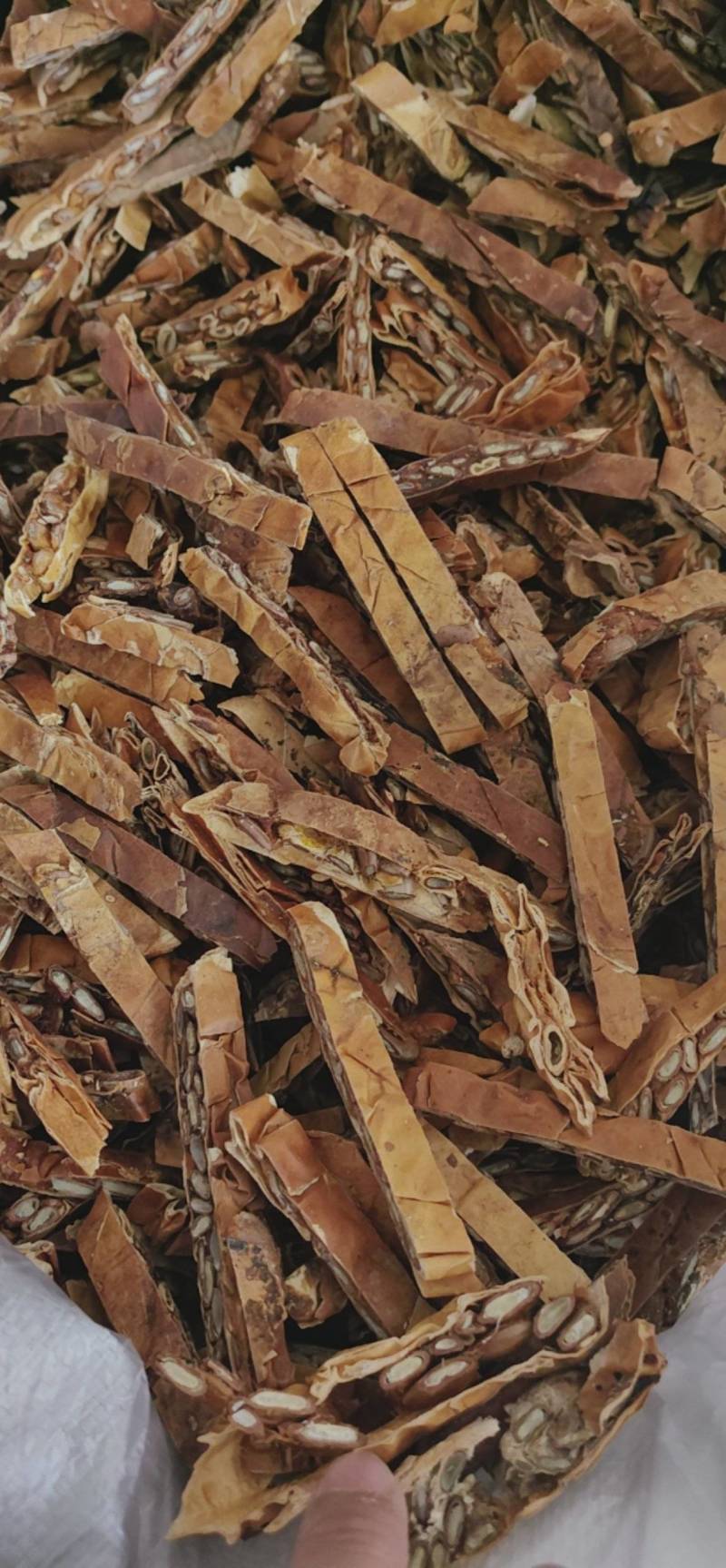 瓜蒌栝楼鲁菏舜中药材批发