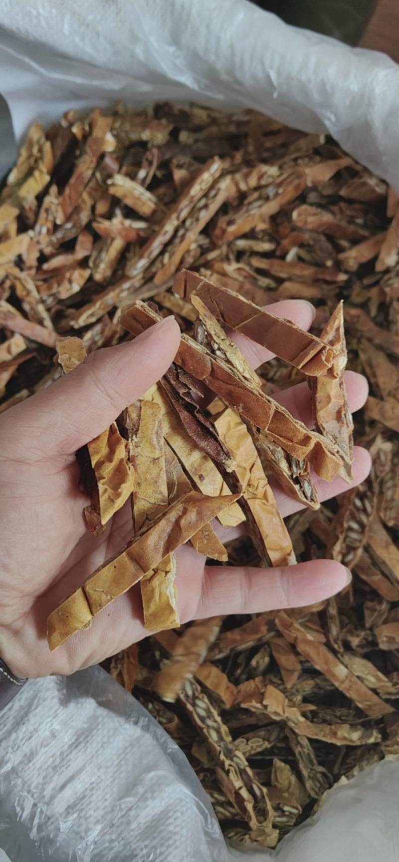 瓜蒌栝楼鲁菏舜中药材批发