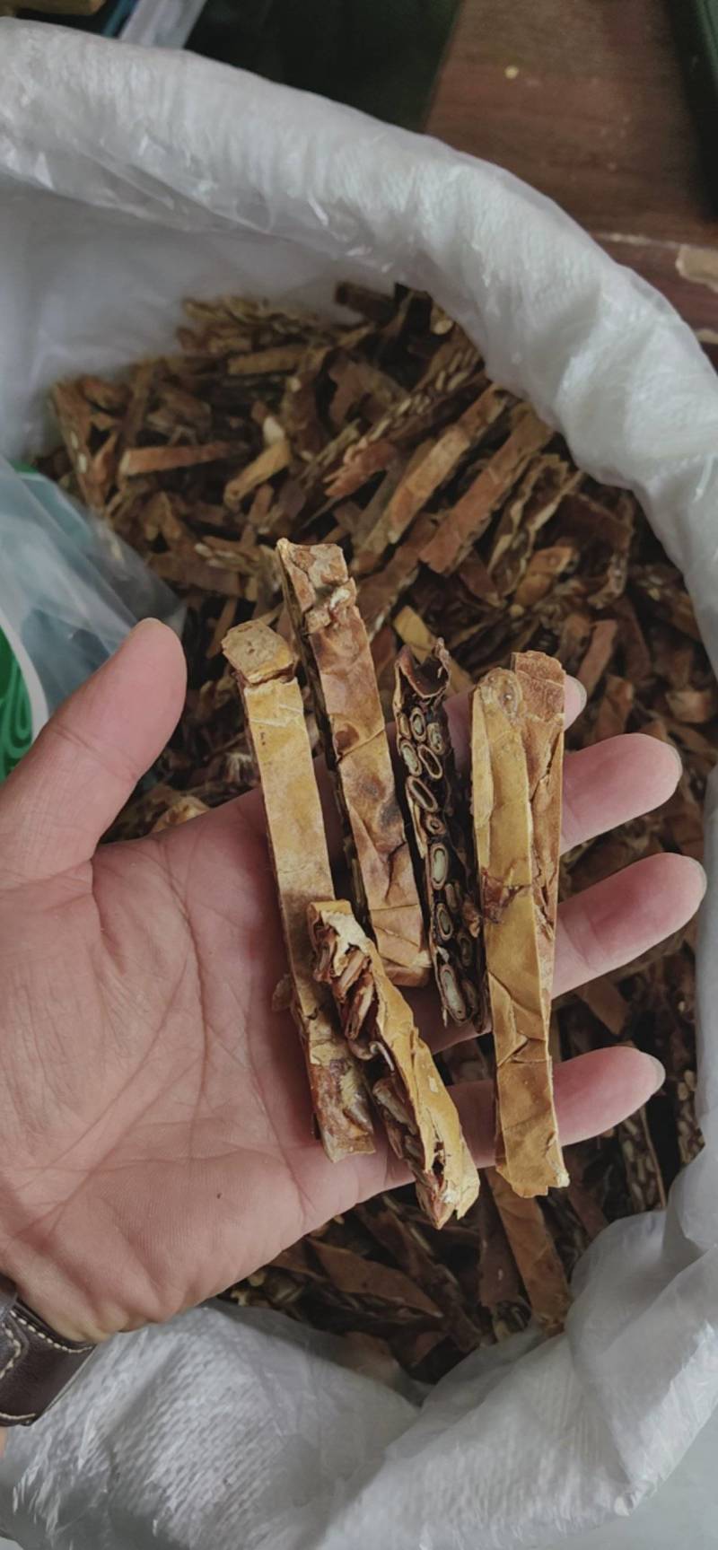 瓜蒌栝楼鲁菏舜中药材批发