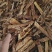 瓜蒌栝楼鲁菏舜中药材批发