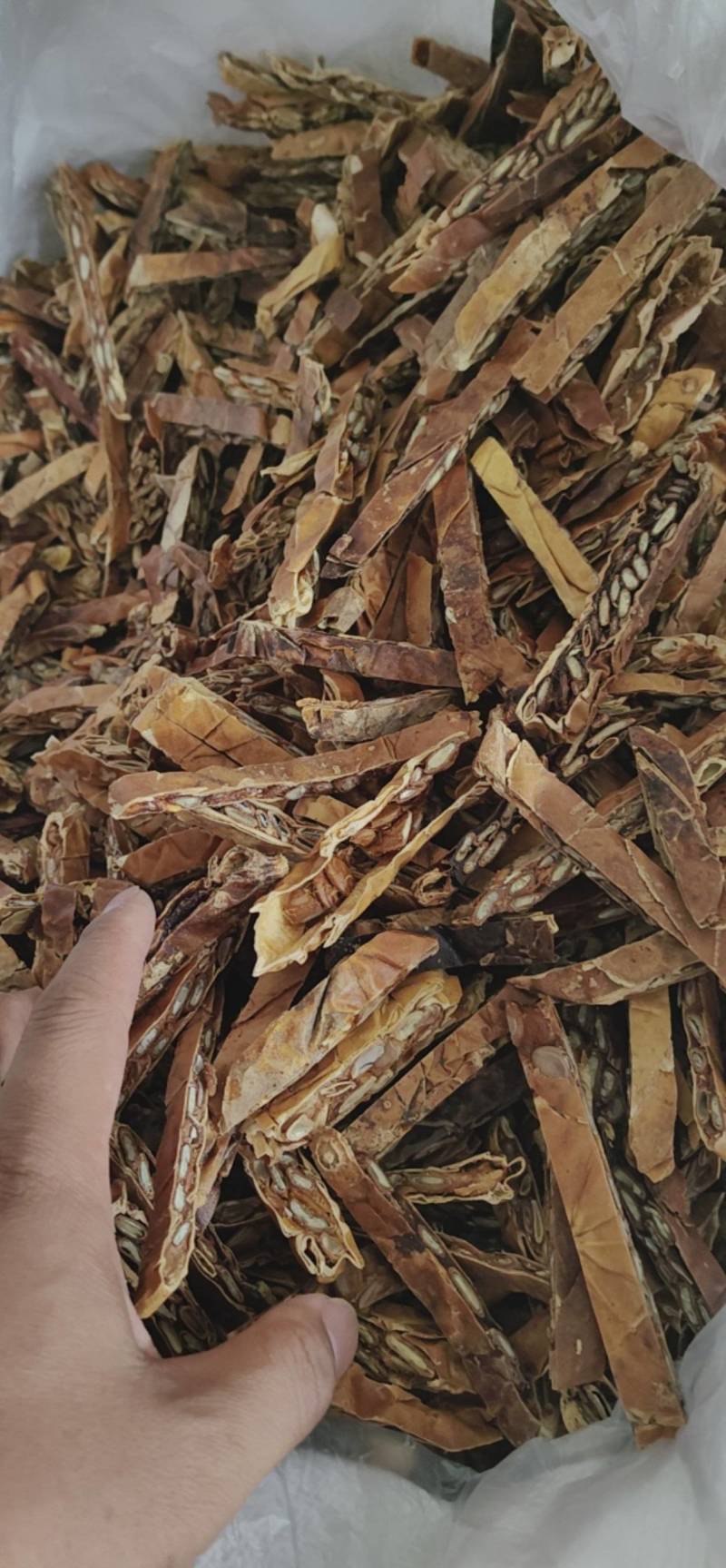 瓜蒌栝楼鲁菏舜中药材批发