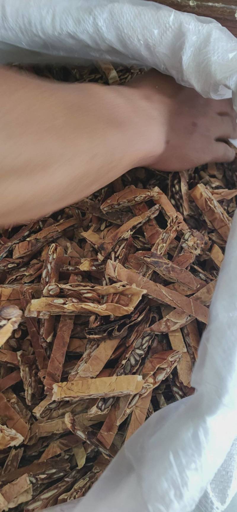 瓜蒌栝楼鲁菏舜中药材批发
