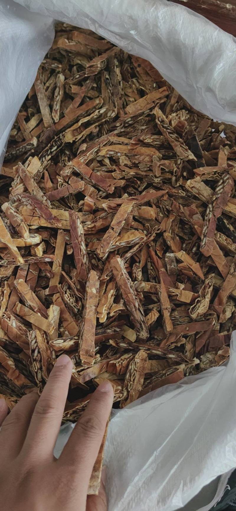 瓜蒌栝楼鲁菏舜中药材批发