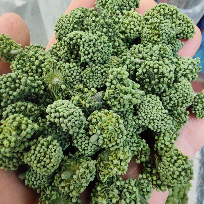 三七花云南文山三七花三七花干花大货批发