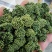三七花云南文山三七花三七花干花大货批发