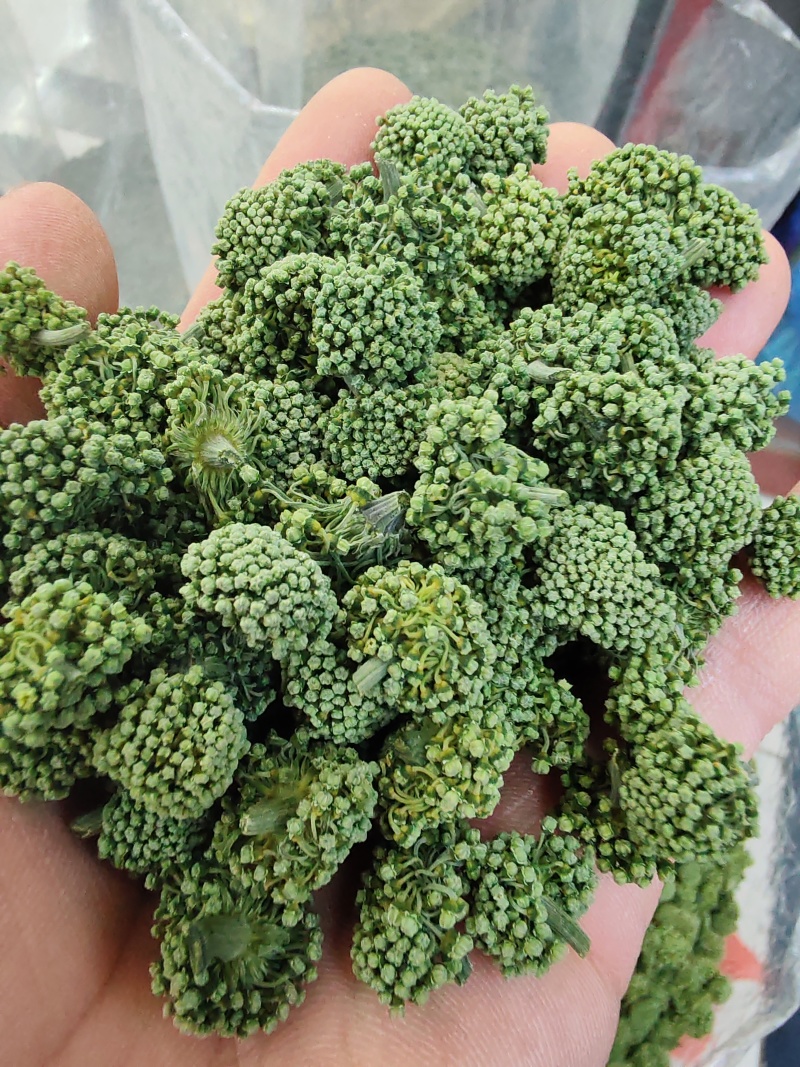 三七花云南文山三七花三七花干花大货批发