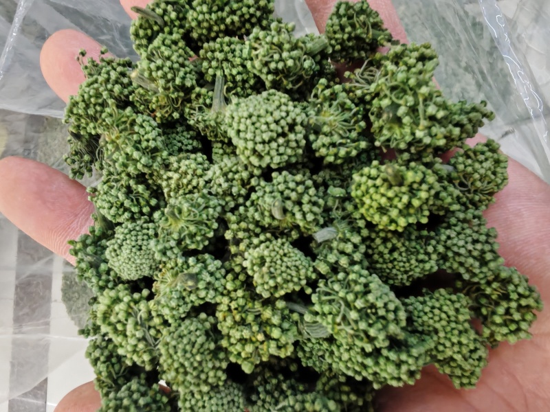 三七花云南文山三七花三七花干花大货批发