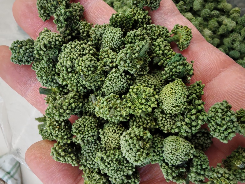 三七花云南文山三七花三七花干花大货批发