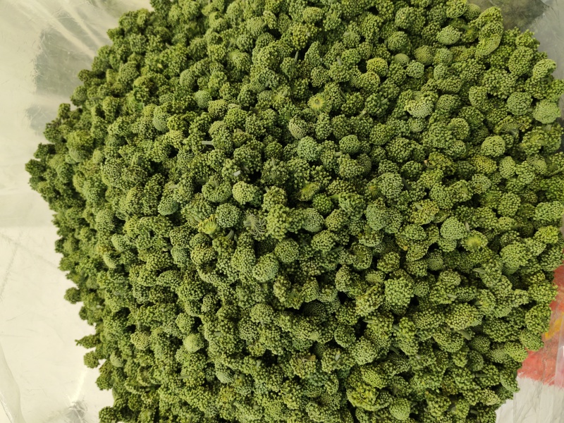 三七花云南文山三七花三七花干花大货批发