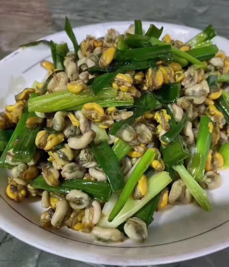 海瓜子肉薄壳肉蛤蜊肉大量供应产地直发可视频看货