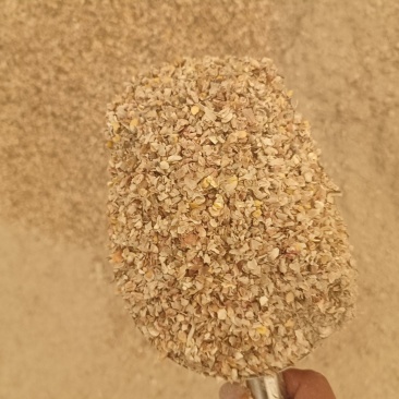 玉米筛下物