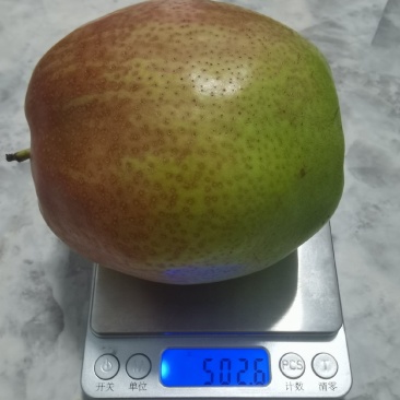 阳信魅梨，支持各大商超，一件代发