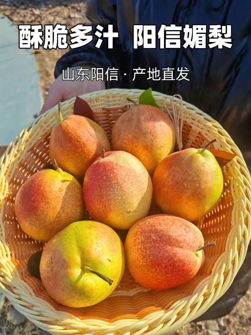 阳信魅梨，支持各大商超，一件代发