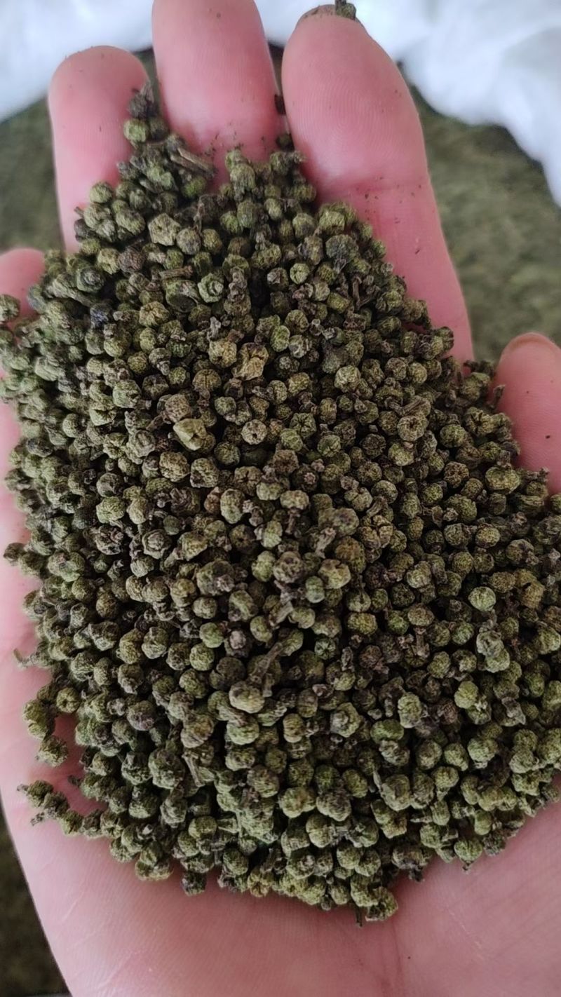 吴茱萸新货吴芋干净无杂质颜色绿无硫自然晾晒