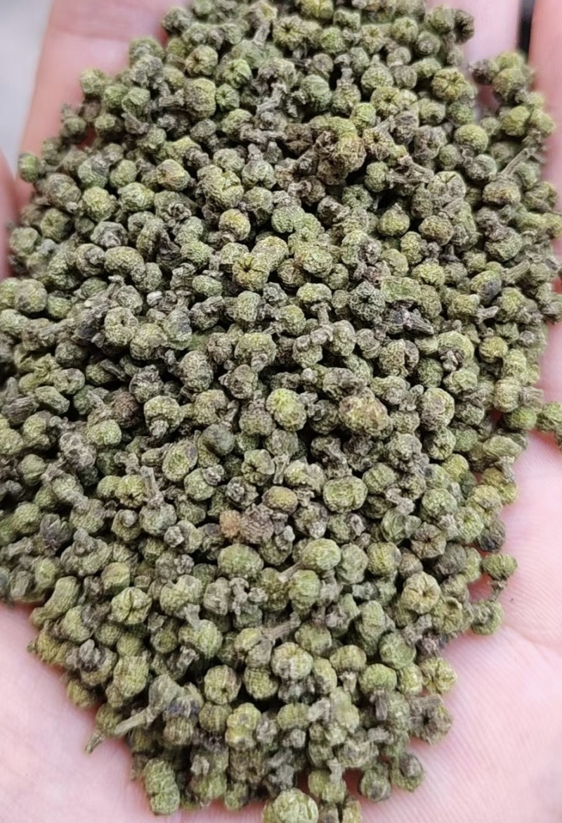 吴茱萸新货吴芋干净无杂质颜色绿无硫自然晾晒