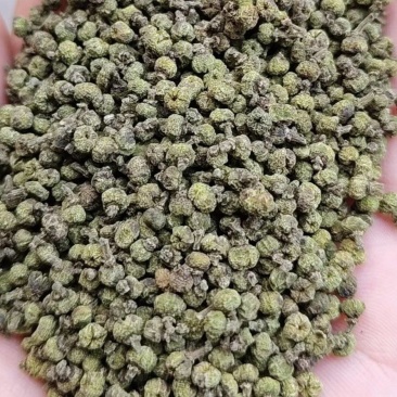 吴茱萸新货吴芋干净无杂质颜色绿无硫自然晾晒