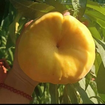 蟠桃