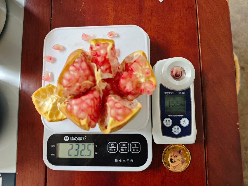 突尼斯软籽石榴一件代发