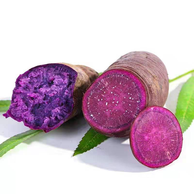 新鲜现挖紫薯紫罗兰红薯正宗沙地番薯地瓜香甜蔬菜蜜薯批发
