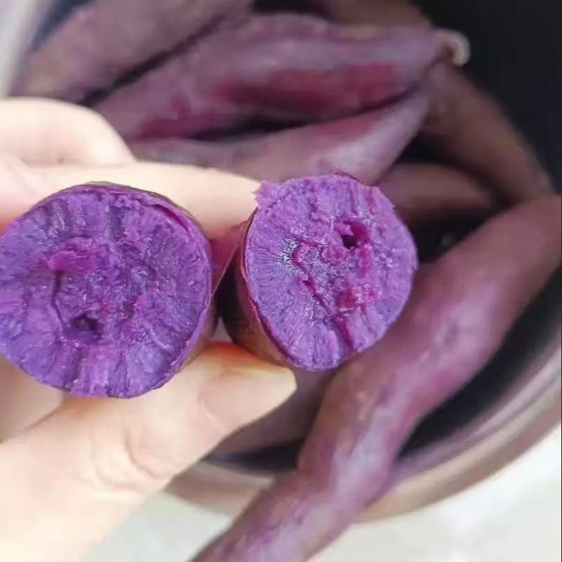 新鲜现挖紫薯紫罗兰红薯正宗沙地番薯地瓜香甜蔬菜蜜薯批发