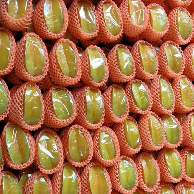 杨桃