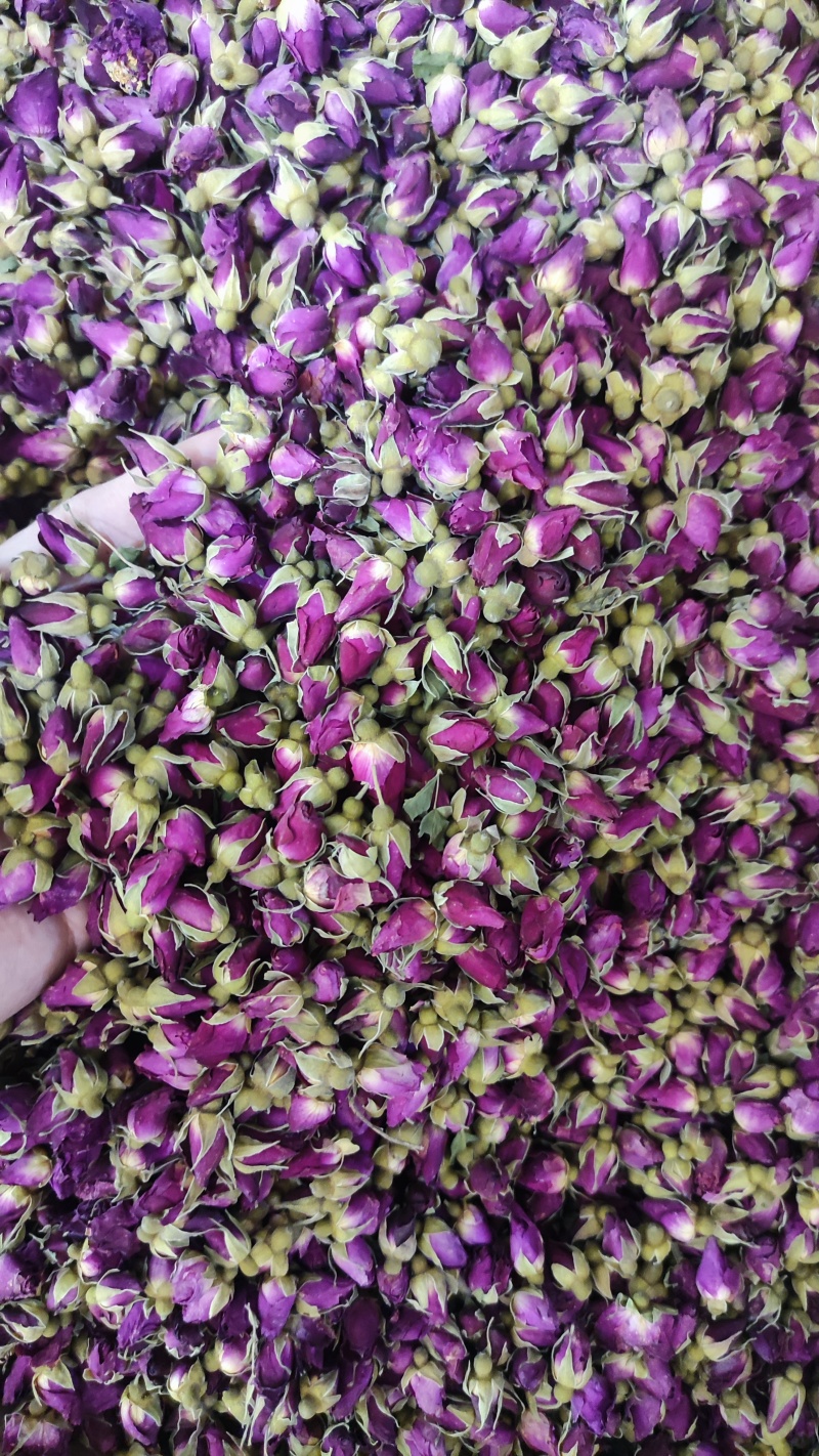 玫瑰花玫瑰花蕾各种规格齐全无硫批发零售量大优惠